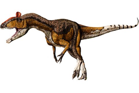 Cryolophosaurus (cry-oh-loaf-oh-SAWR-uss)