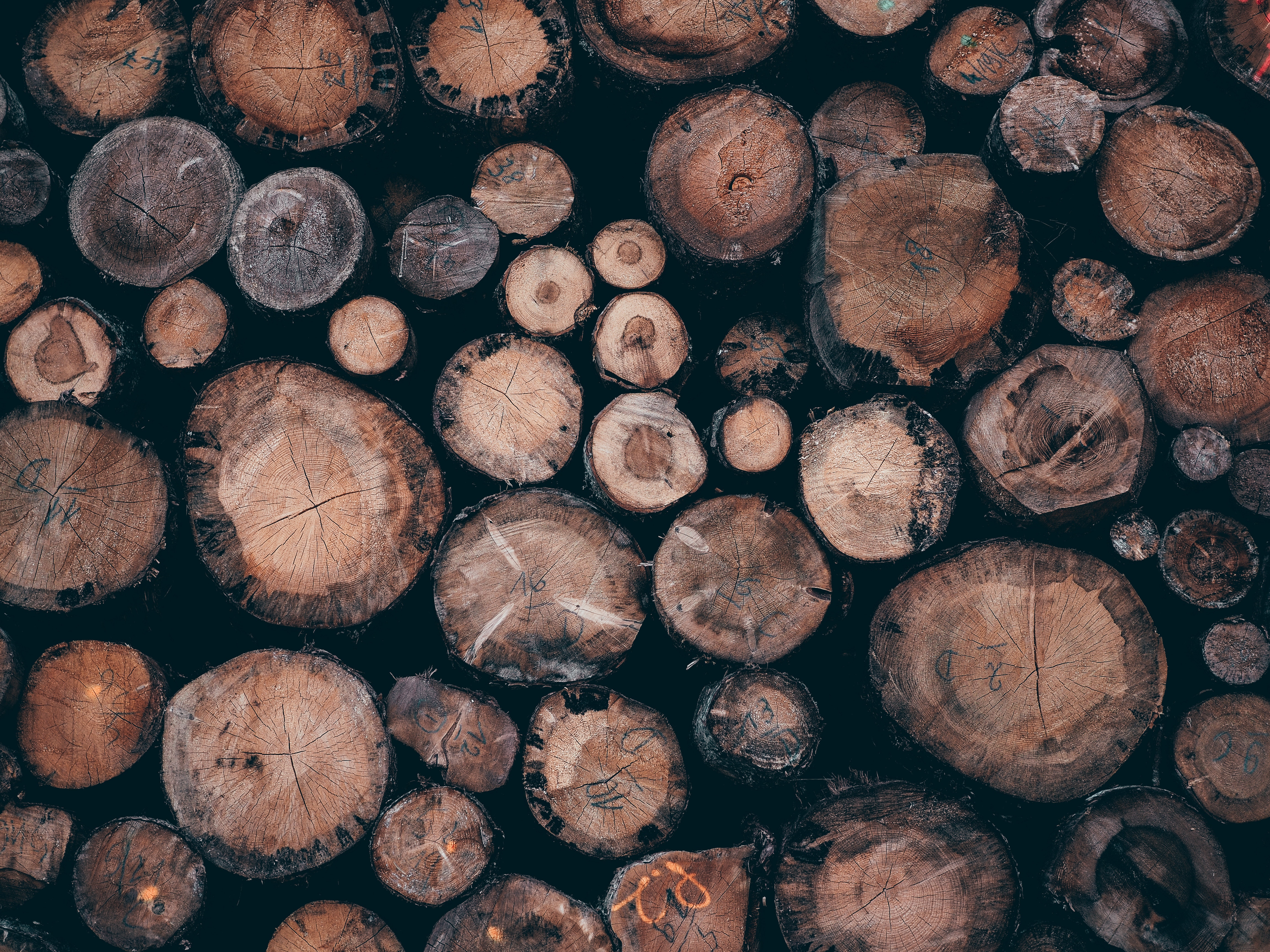 Photo of logs