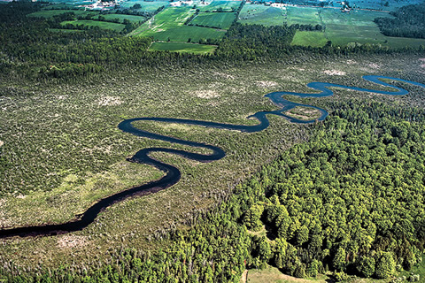 Pigeon River in Kawartha Region