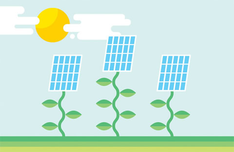 Illustration of the sun shining down on solar panels on vines/stalks.