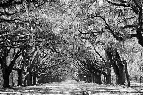 Photo by Stephen Sloan