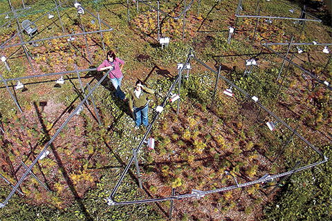 Students Alyssa Molinaro (right) and Emmanuelle Frechette at the Koffler Scientific Reserve. Photo by Koffler Scientific Reserve