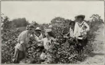 Farmerettes from U of T dug a few “trenches” of a different sort.