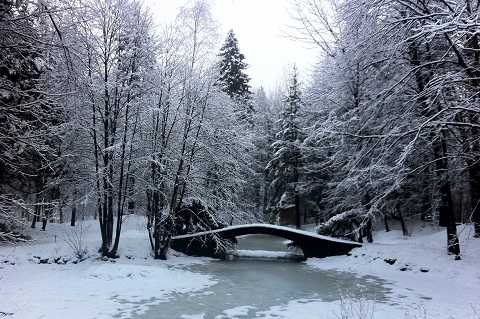 Lislehurst bridge at U of T Mississauga by Adrian Berg(aoberg) on Flickr