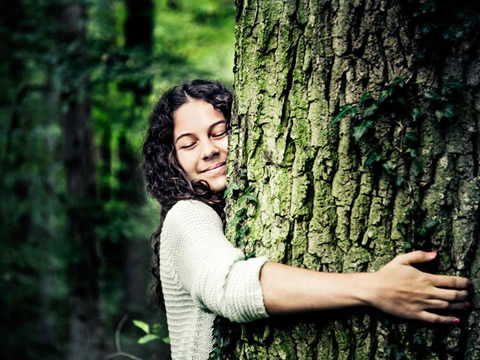 A collaboration between U of T and community group Cabbagetown Releaf hopes to inspire people across Toronto care for their neighbourhood's trees.