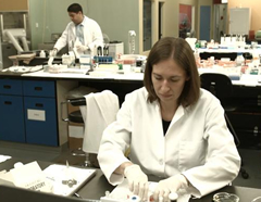 Ron Gonzalez (back) and Sara Seabrooke at their Toronto lab. Photo courtesy of Instant Chemistry.