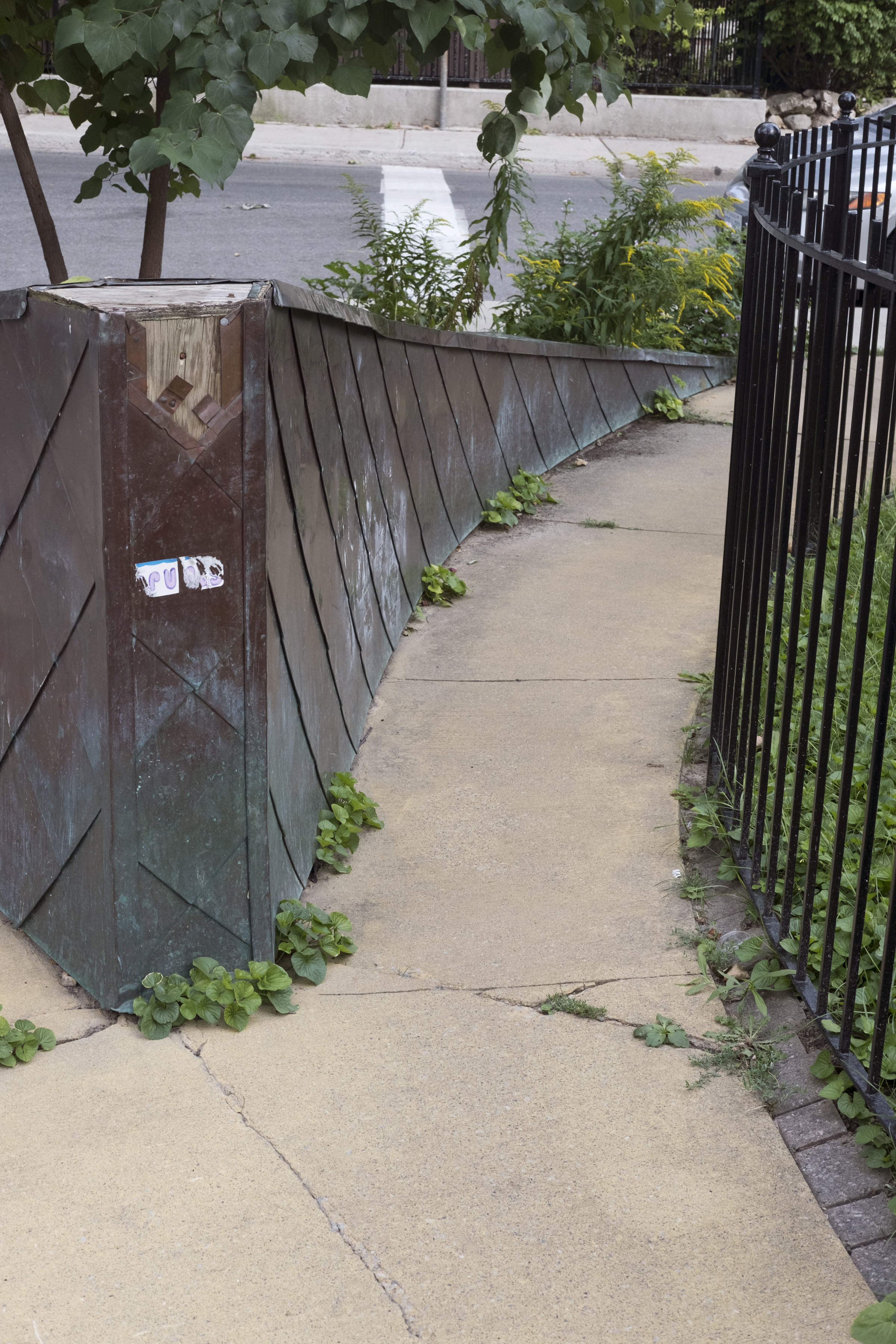 A narrow sidewalk pathway