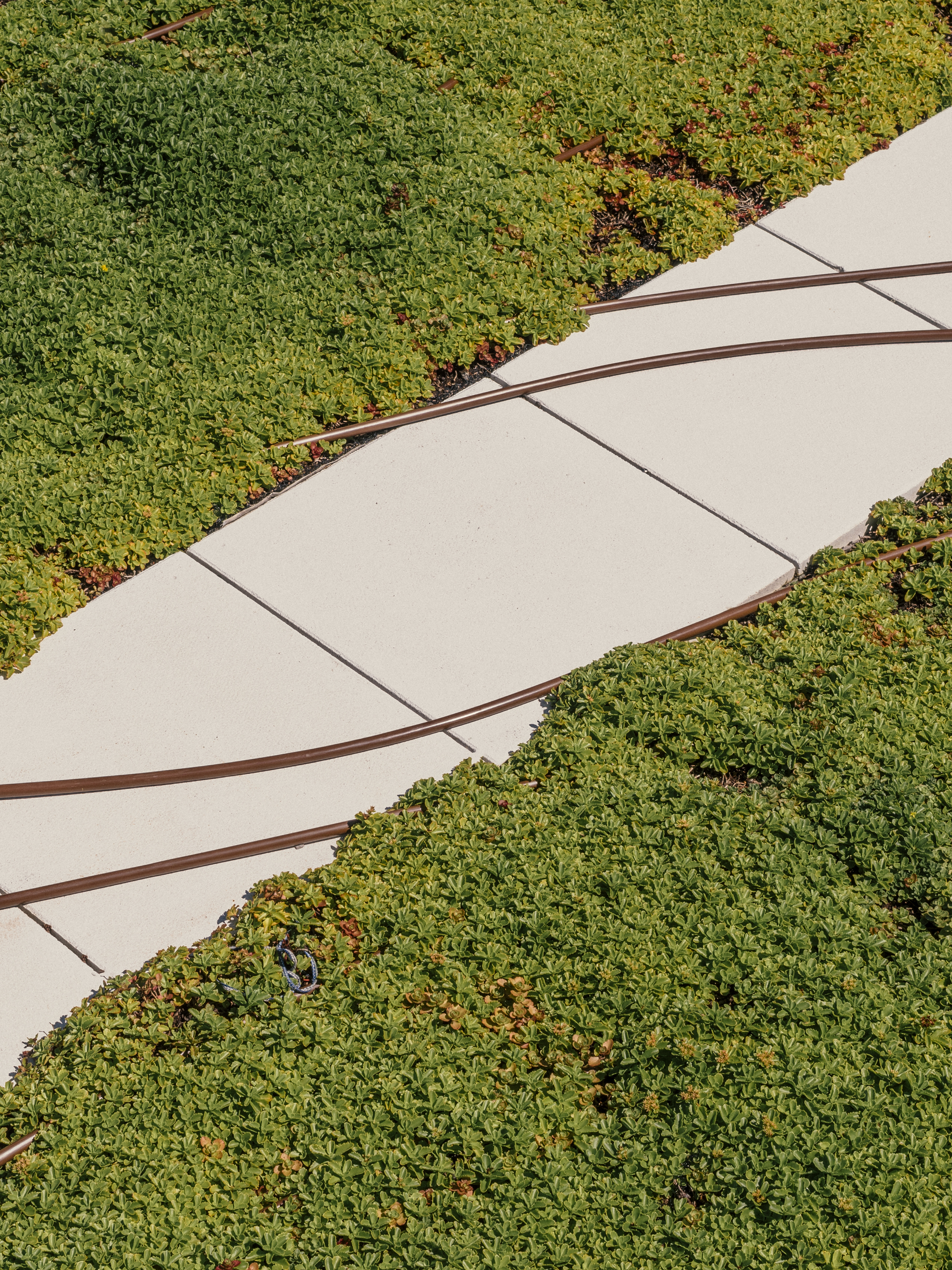 Close-up of the Green Roof Innovation Testing laboratory at U of T