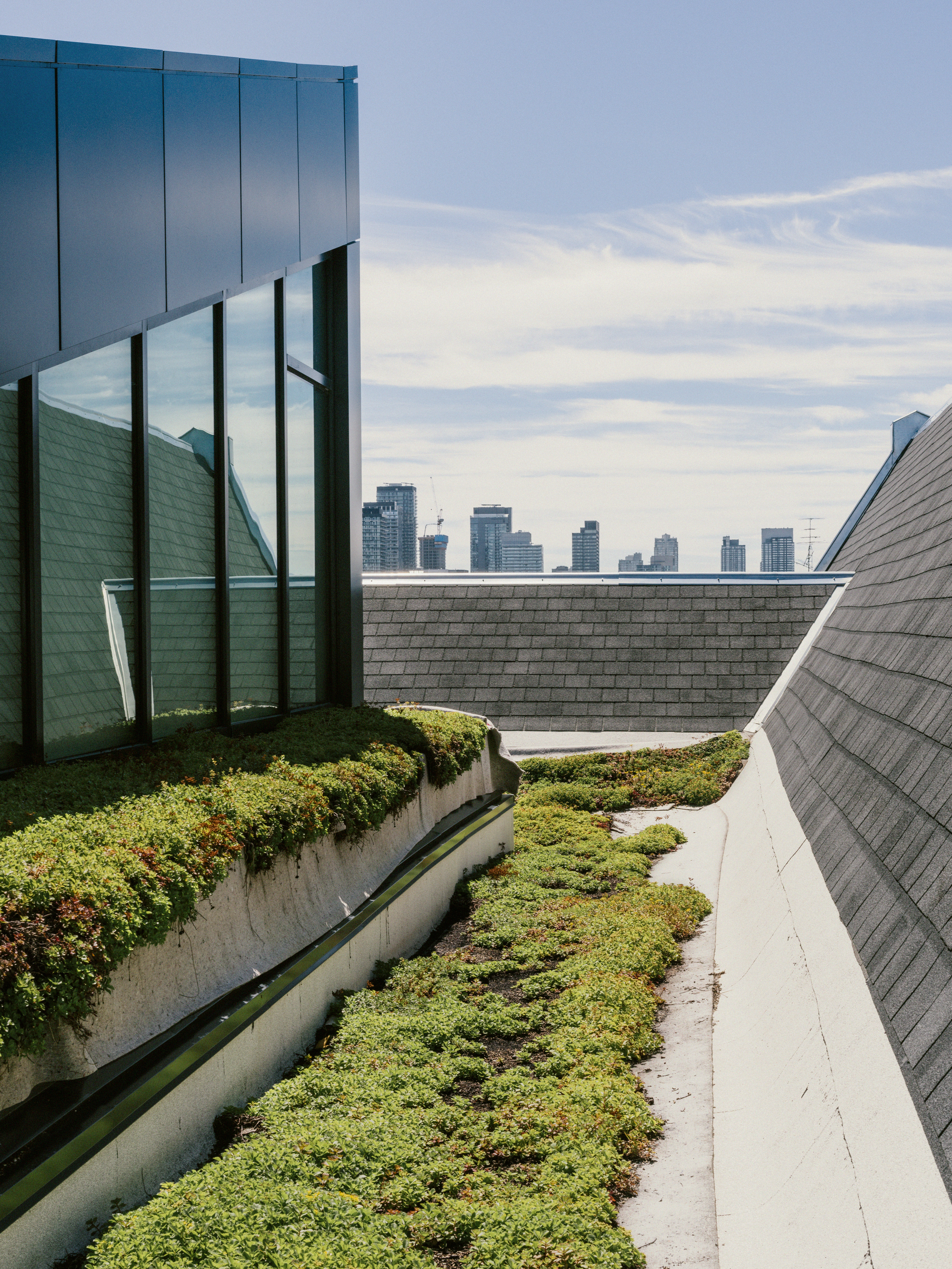 The Green Roof Innovation Testing laboratory at U of T, with the city skyline in the background