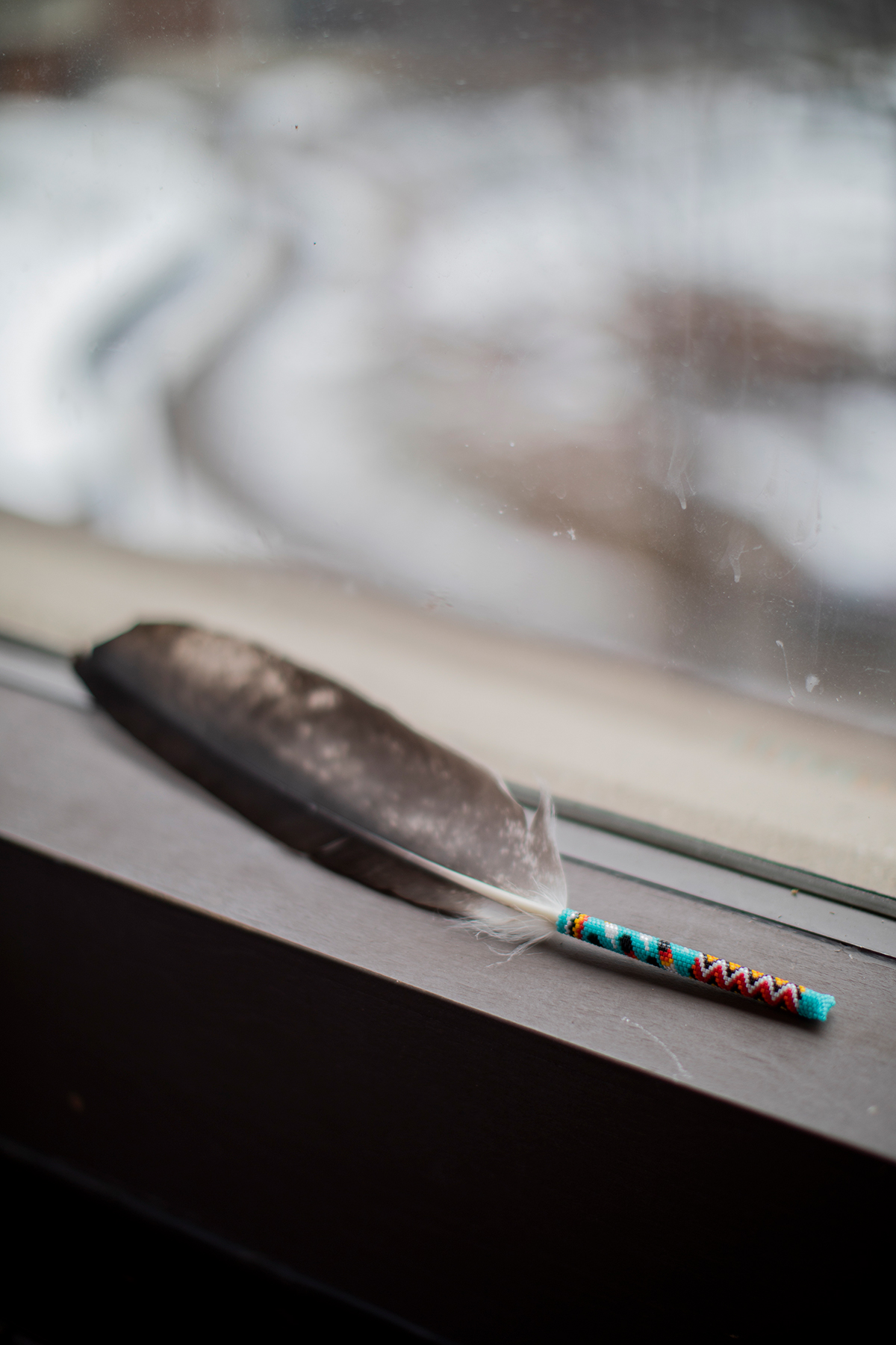 Feathers belonging to University of Toronto student Miyopin Cheechoo