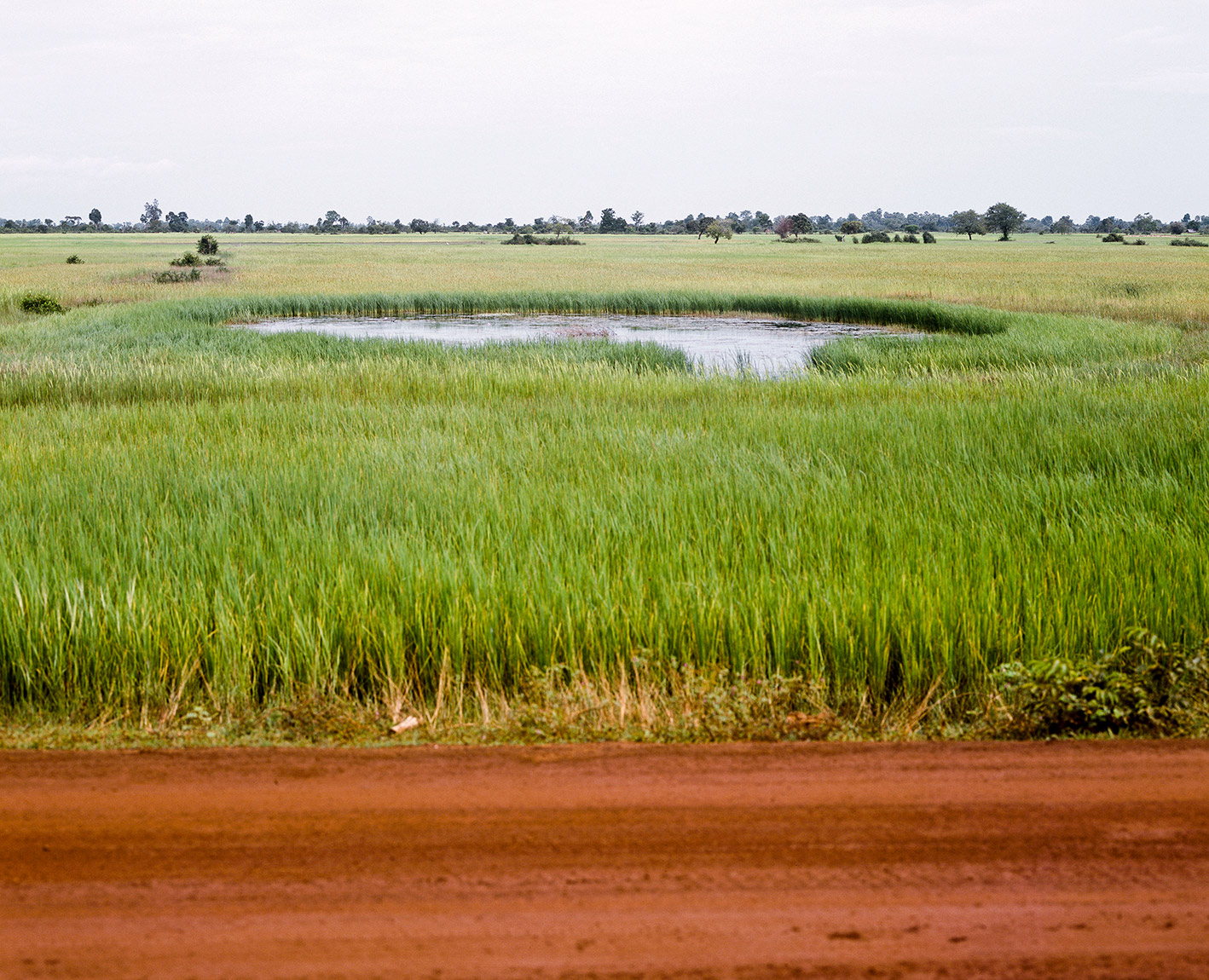 Dirt road, grassy field and a pond in the distance