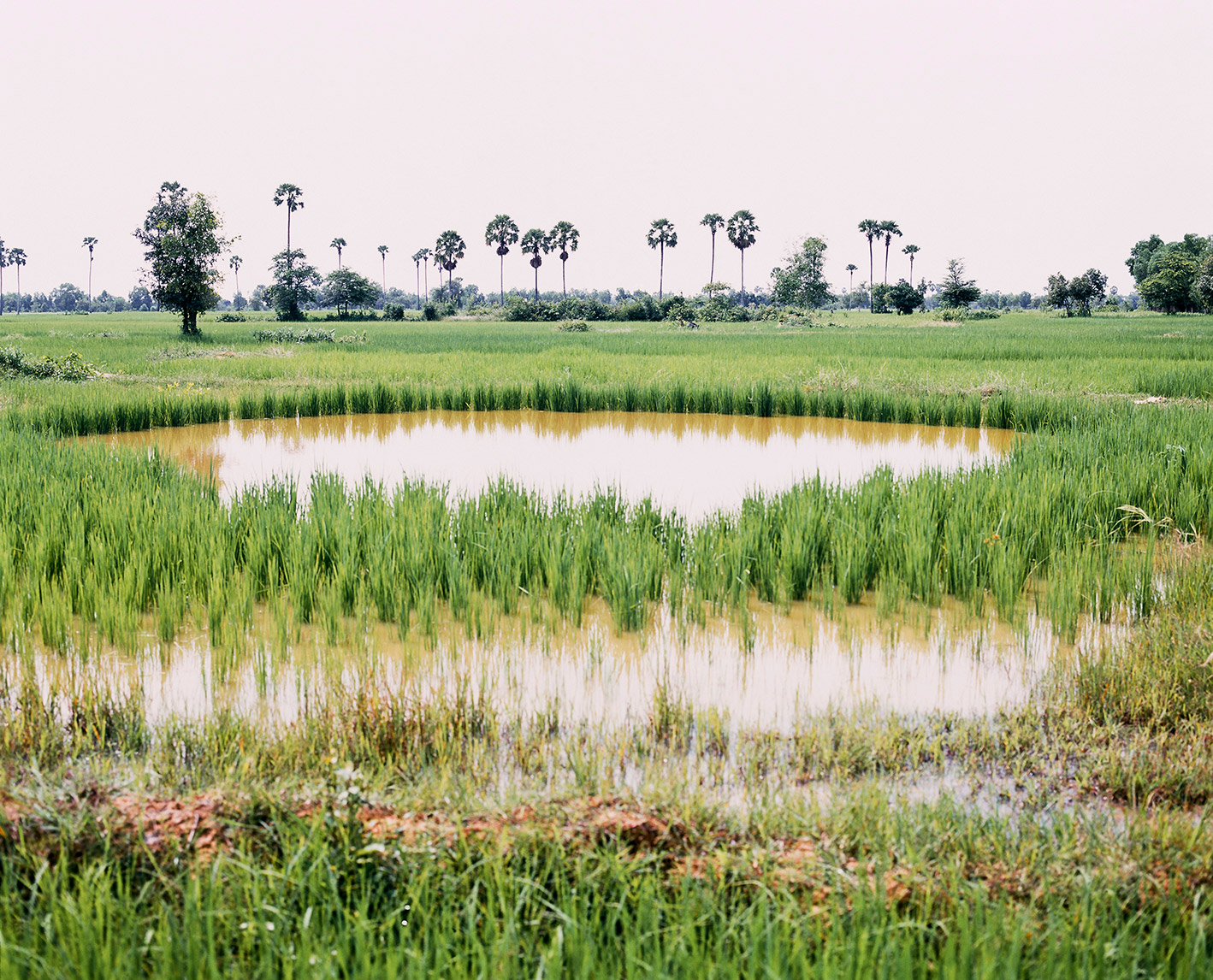 Two landmine crater ponds