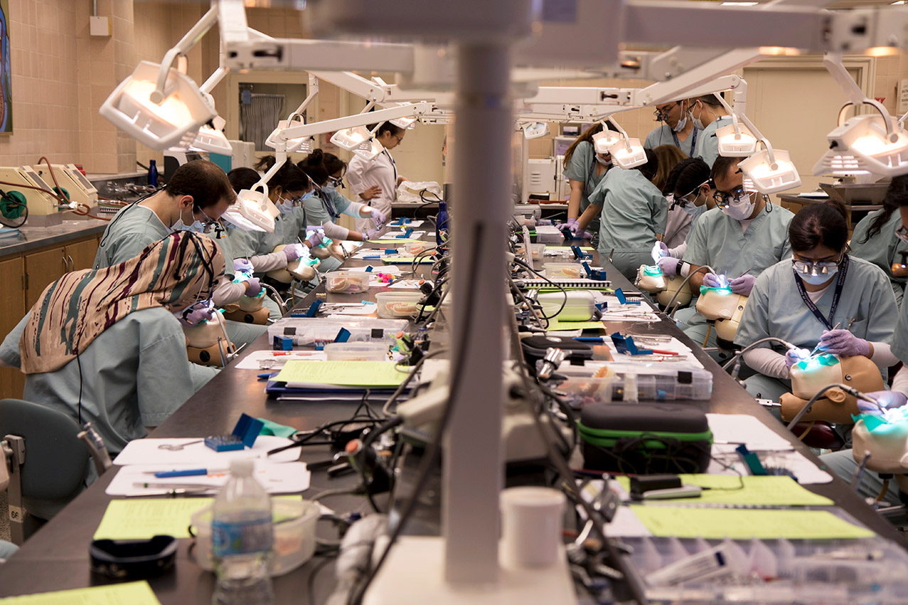 Dentistry students practicing at their work stations