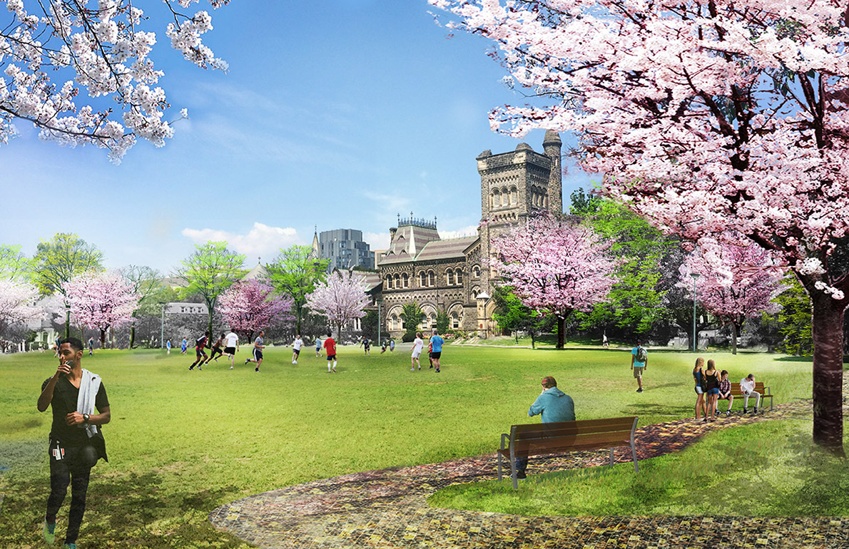 Artist rendering of King's College Circle, with University College in the background and the grassy field in front with cherry blossom trees in bloom. Students are sitting on benches, and a soccer game is underway.