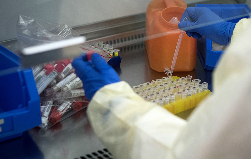 Close-up of a researcher pipetting into or from an array of test tubes