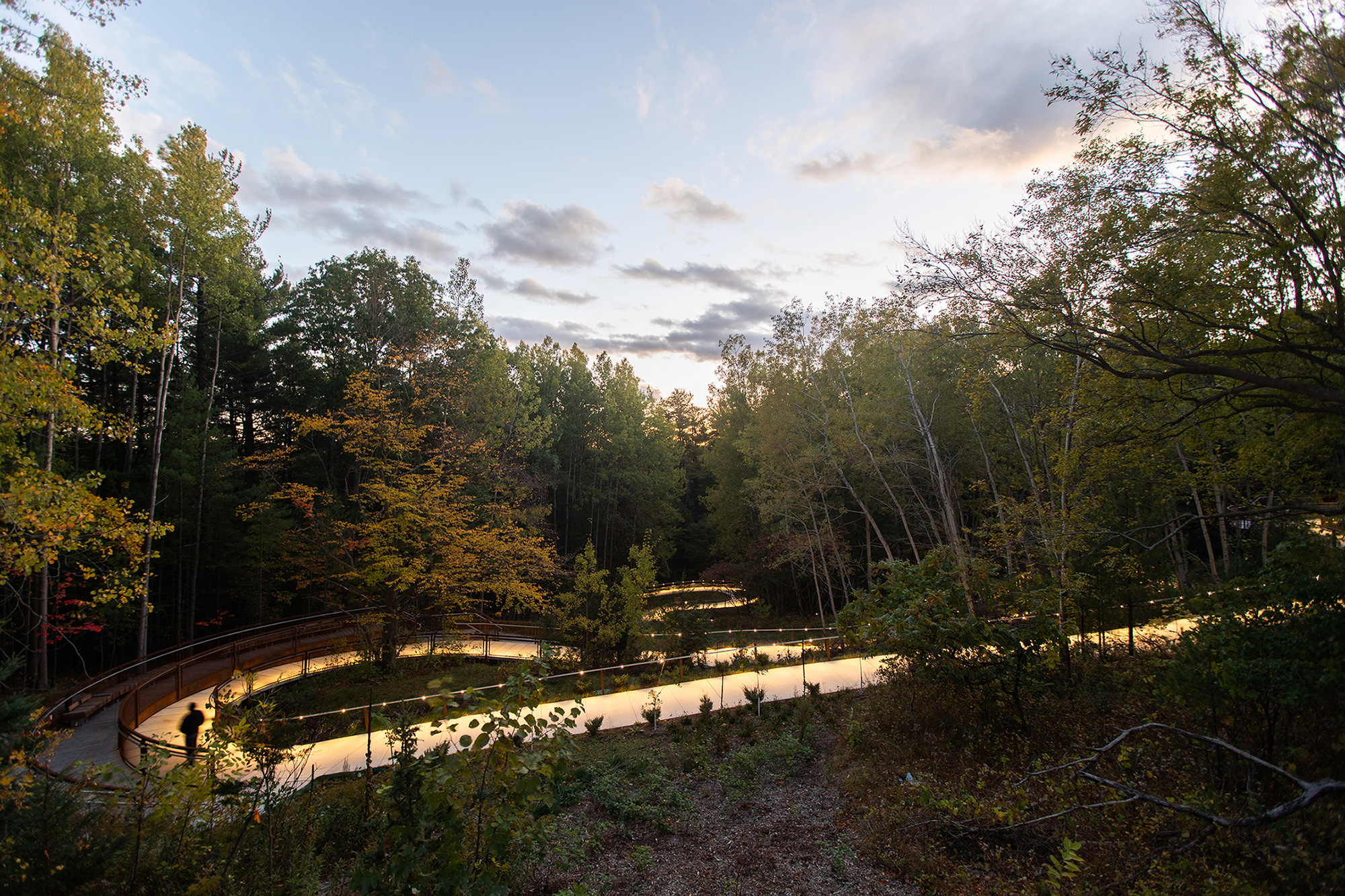 A loop of the UTSC trail through forested area