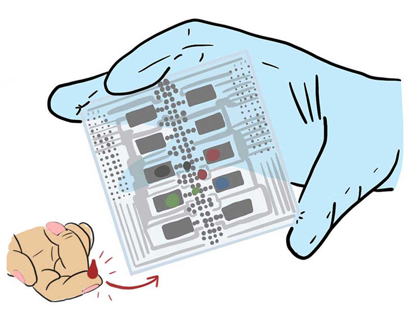 A gloved hand holding an enlarged chip (left), a hand with a drop of blood above the index finger and an arrow pointing toward the chip (right)