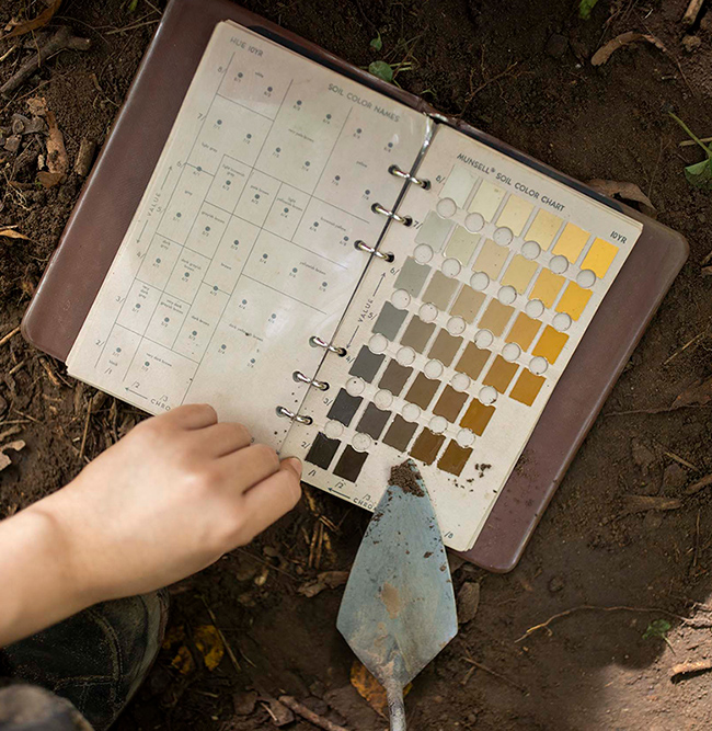 Student comparing soil against a colour chart