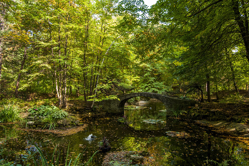 The stone-built Lislehurst Bridge arching over a small pond, surrounded by a forest of trees in late summer