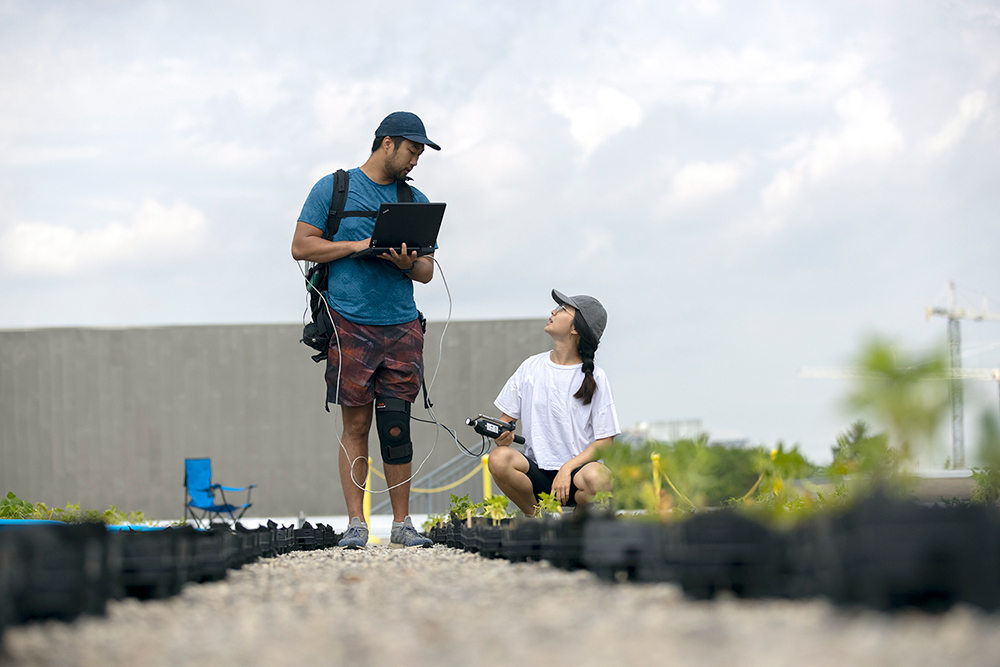 Two students wearing baseballs caps in discussion while taking measurements from a plant, with one student standing and holding a laptop and the other crouched over a box of plants, holding a device