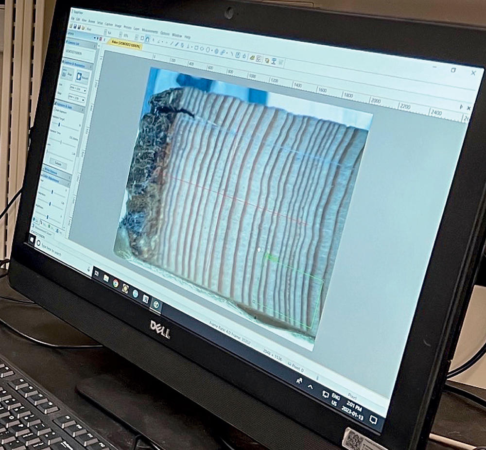 A computer monitor showing a scanned image of a tree ring sample open in an image-analysis software