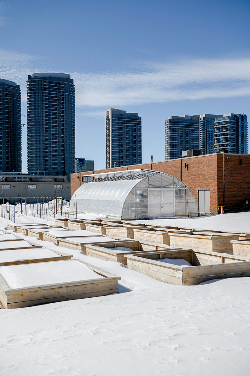 Exterior view of the Centre for Immigrant and Community Services’ urban farm's greenhouse