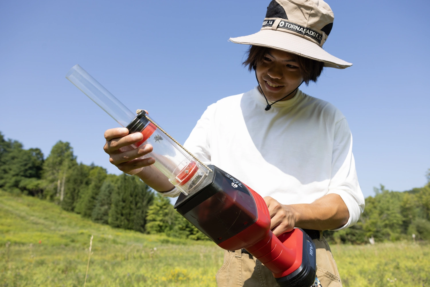 A student researcher examines a pollinator captured in a bug vacuum